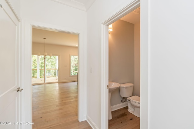 bathroom with crown molding, toilet, an inviting chandelier, and hardwood / wood-style floors