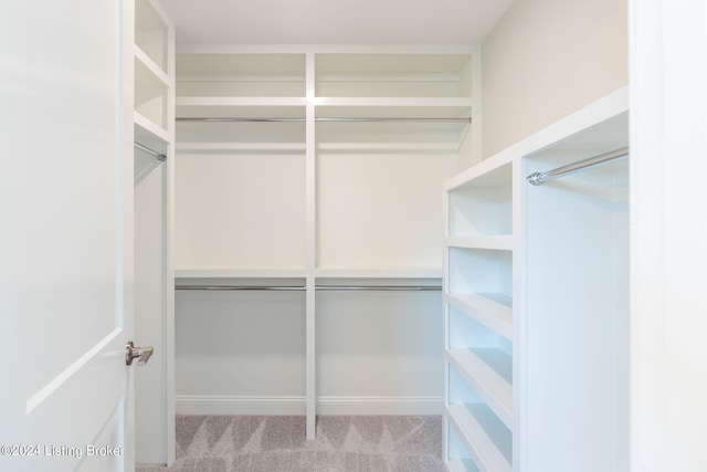 spacious closet with light carpet