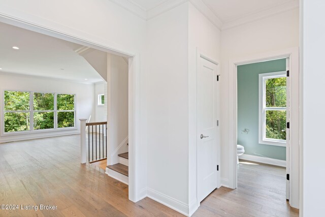 hallway with light wood-type flooring and ornamental molding