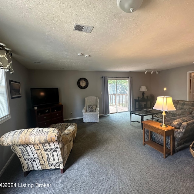 carpeted living room featuring a textured ceiling