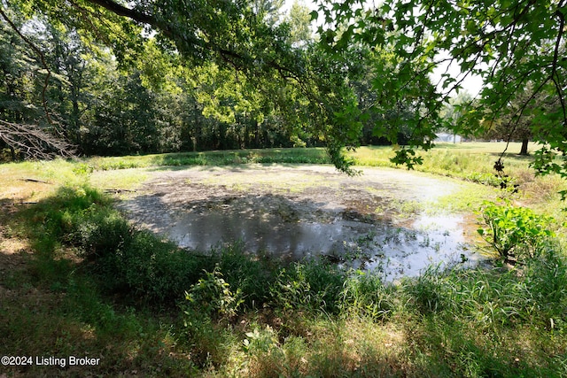 view of water feature