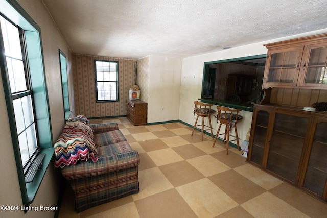 living room with a textured ceiling