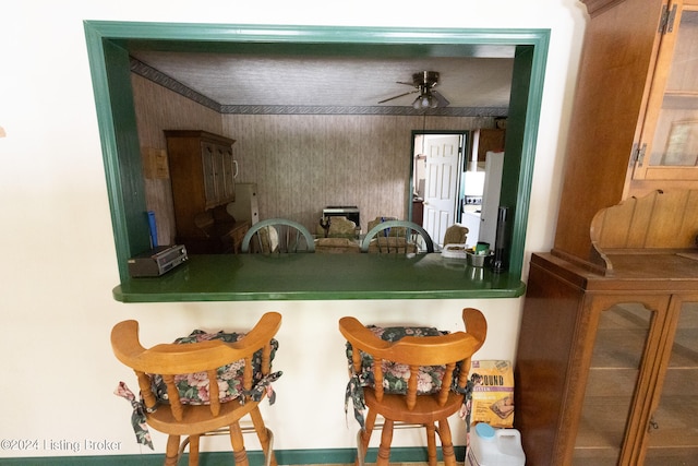 dining area featuring ceiling fan