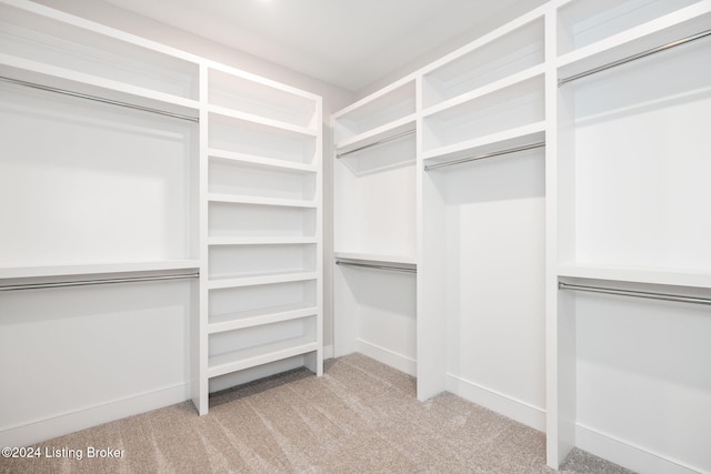 walk in closet with light colored carpet