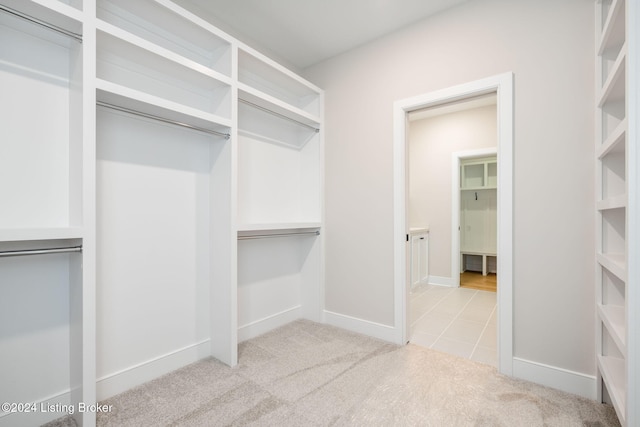 spacious closet with light colored carpet