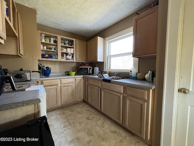 168 Old Dixie Hwy, Horse Cave, KY 42749 - photo 3