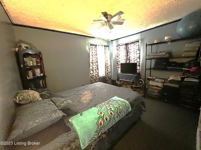 168 Old Dixie Hwy, Horse Cave, KY 42749 - photo 5