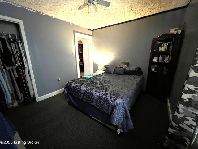 168 Old Dixie Hwy, Horse Cave, KY 42749 - photo 6
