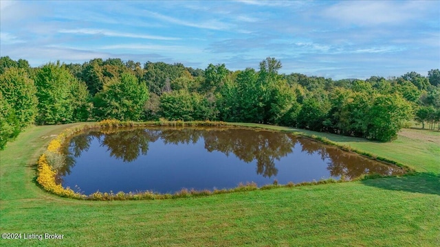 view of water feature