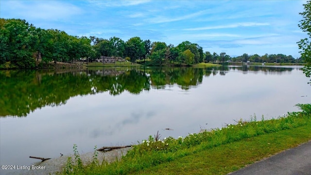 view of water feature