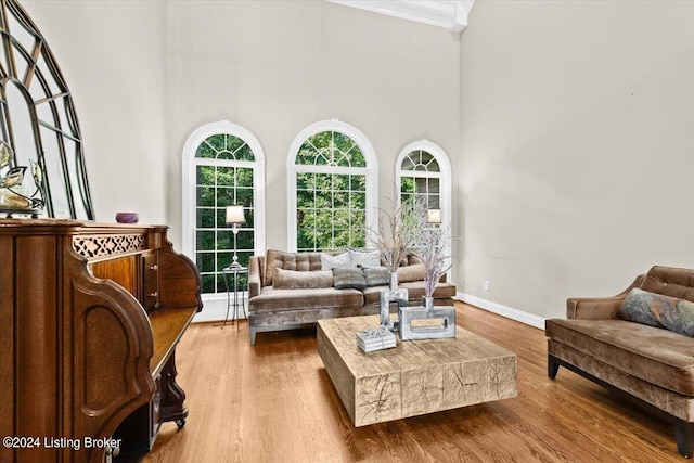 living room with wood-type flooring and a high ceiling