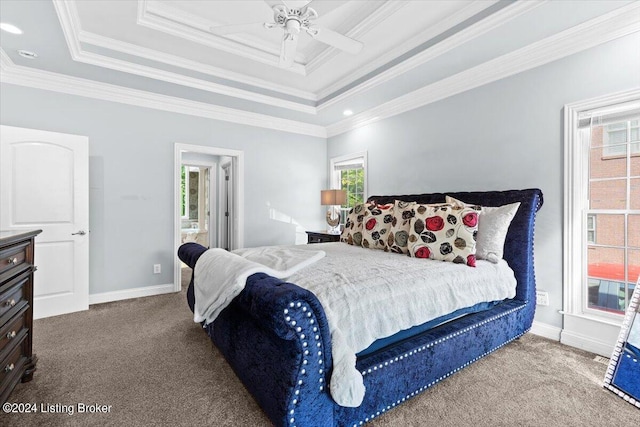 bedroom featuring a tray ceiling, multiple windows, and carpet flooring