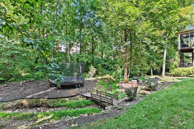 view of yard with a trampoline