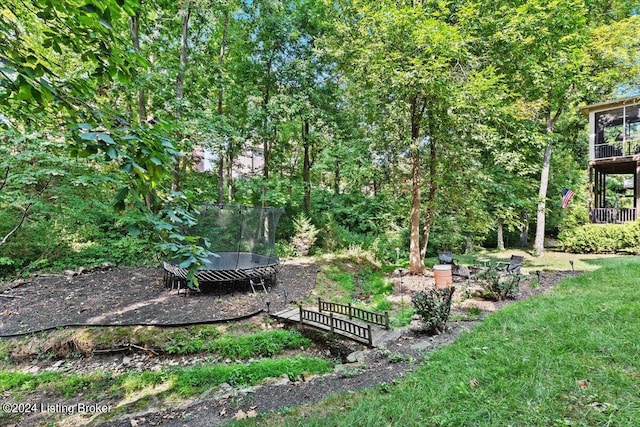 view of yard featuring a trampoline