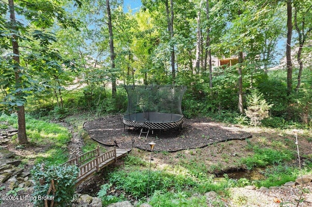 view of yard featuring a trampoline