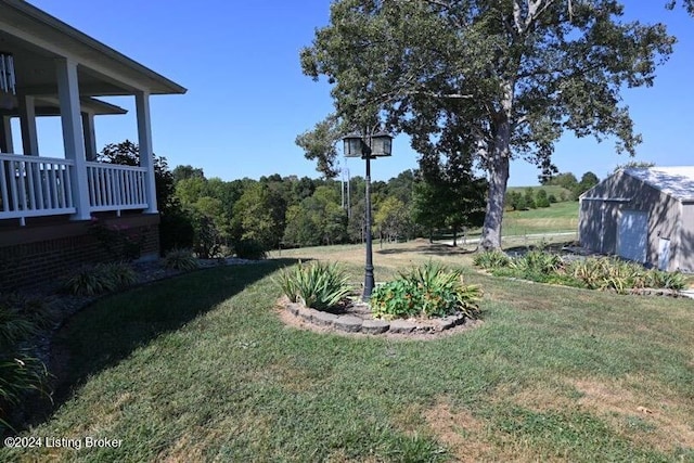 view of yard with a storage shed