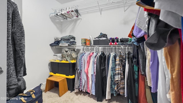 spacious closet with carpet floors