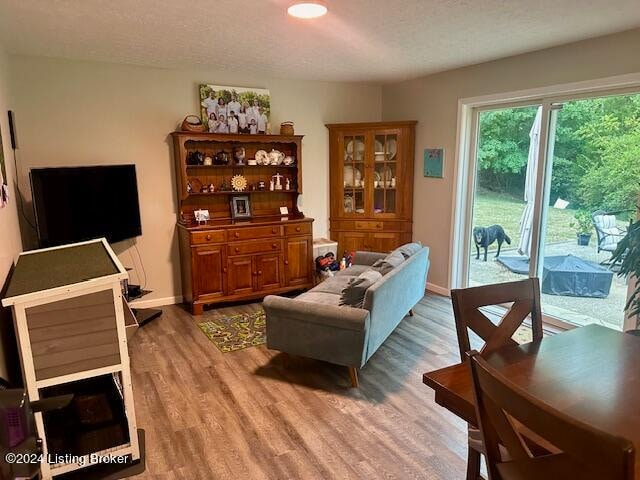 living room with a textured ceiling and hardwood / wood-style flooring