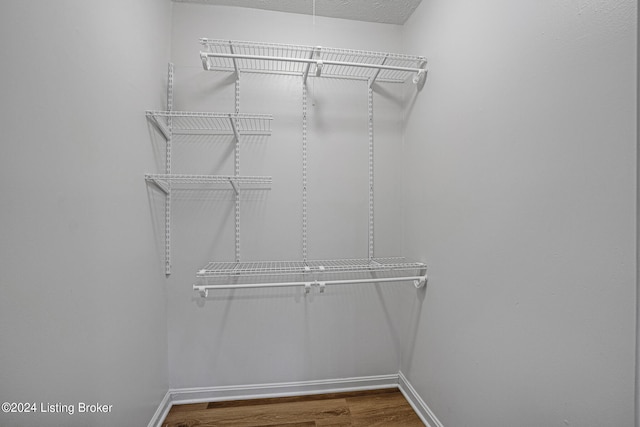 spacious closet featuring hardwood / wood-style floors