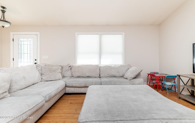 living room featuring light hardwood / wood-style floors