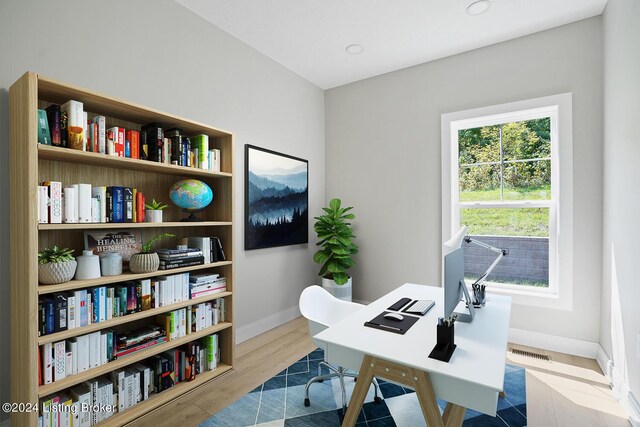 office space featuring wood-type flooring and plenty of natural light