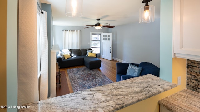 living room featuring hardwood / wood-style floors and ceiling fan