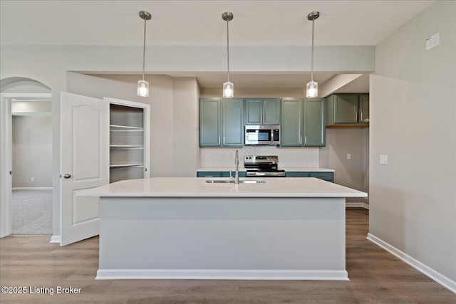 196 Harvest Moon Ct Unit 219A, Shepherdsville, KY 40165 - kitchen featuring appliances with stainless steel finishes, a sink, wood finished floors, and decorative backsplash
