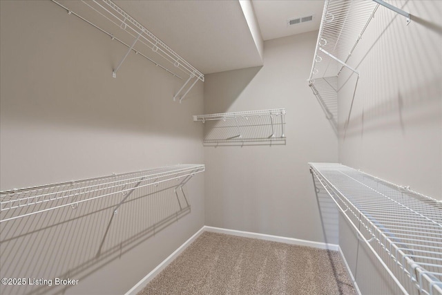 196 Harvest Moon Ct Unit 219A, Shepherdsville, KY 40165 - walk in closet with carpet floors