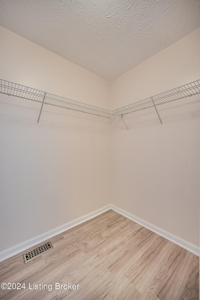 spacious closet with light hardwood / wood-style floors