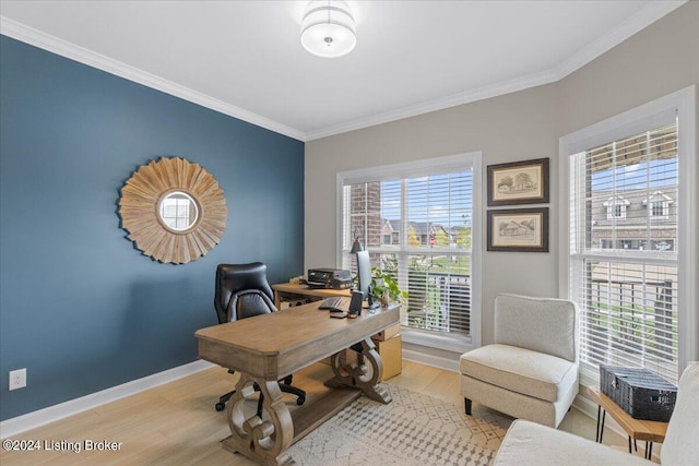 office space featuring a wealth of natural light, light hardwood / wood-style floors, and crown molding