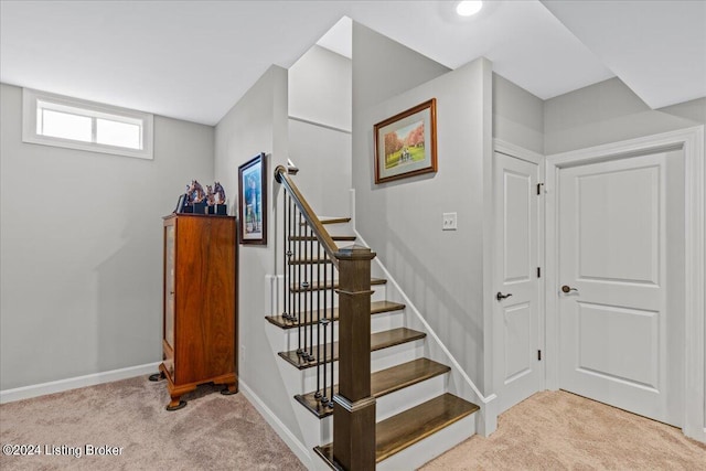 stairway with carpet flooring