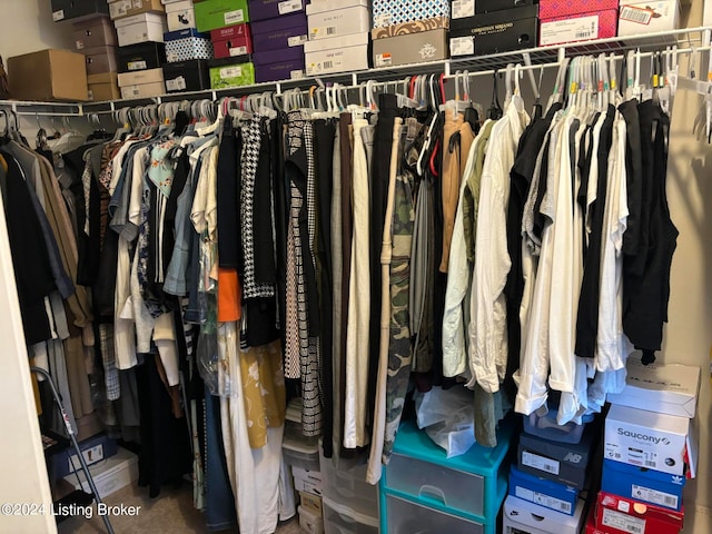 view of spacious closet