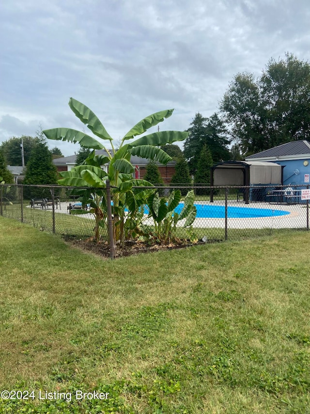 view of swimming pool with a lawn