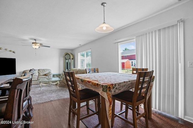 dining room featuring ceiling fan and dark hardwood / wood-style floors