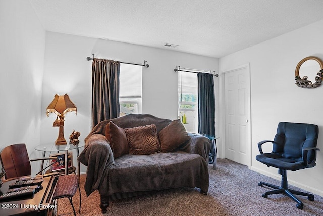 living room featuring carpet and a textured ceiling