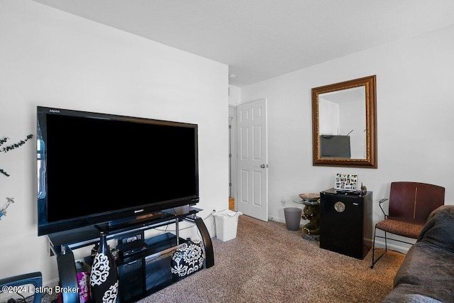 living room with carpet