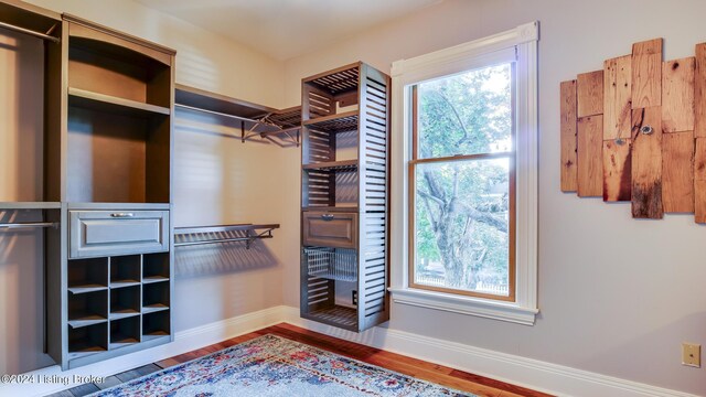 spacious closet with wood-type flooring