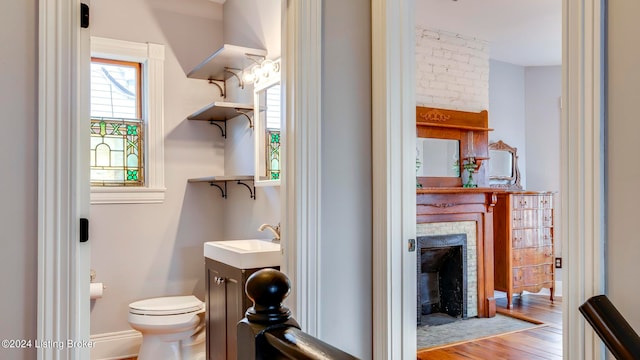 bathroom featuring vanity, toilet, and hardwood / wood-style flooring