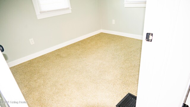 basement with carpet flooring