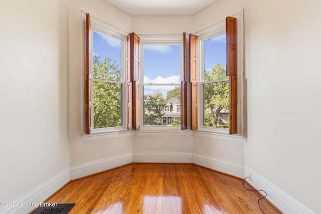 spare room featuring a healthy amount of sunlight and light hardwood / wood-style flooring