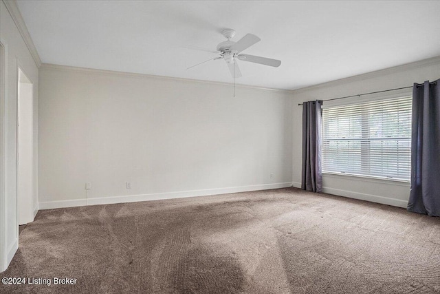 carpeted empty room with ceiling fan and ornamental molding