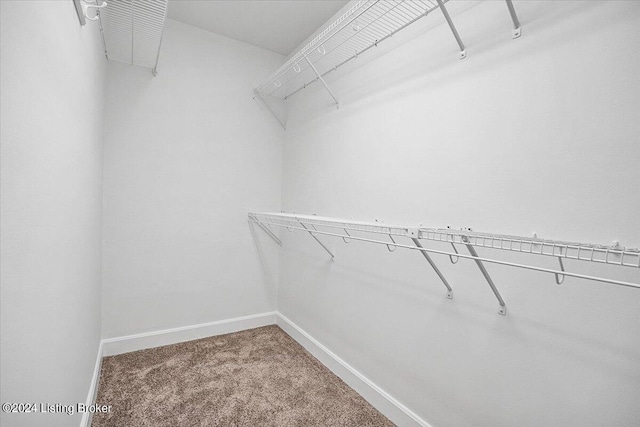 walk in closet with carpet floors