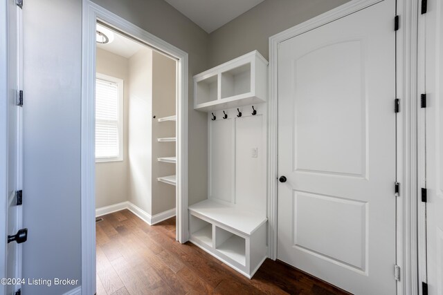 mudroom featuring dark hardwood / wood-style flooring