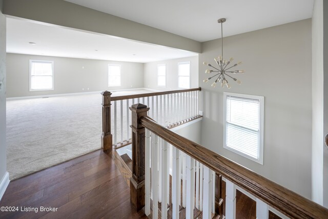 hall featuring an inviting chandelier, dark wood-type flooring, and a healthy amount of sunlight