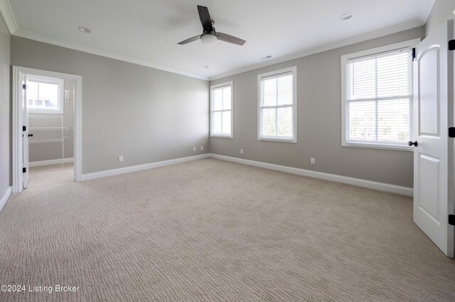 carpeted empty room with ornamental molding, ceiling fan, and plenty of natural light