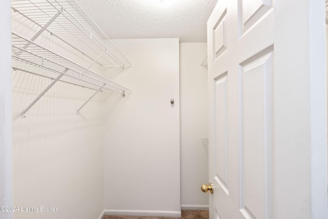 spacious closet with carpet floors