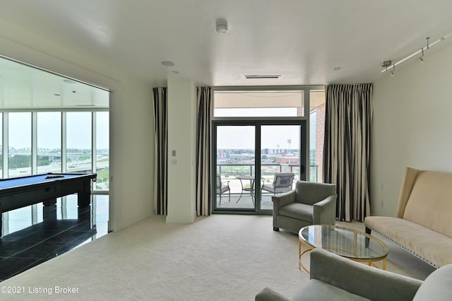 living area featuring expansive windows, a wealth of natural light, and carpet flooring