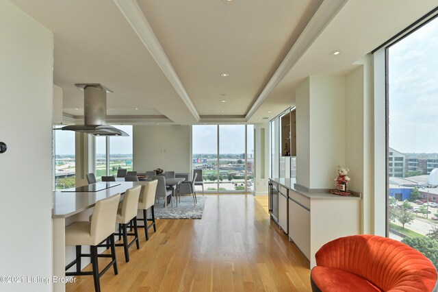 kitchen featuring light hardwood / wood-style floors, a tray ceiling, expansive windows, and white cabinets