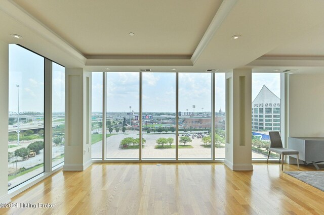 interior space featuring light wood-type flooring, floor to ceiling windows, and a raised ceiling