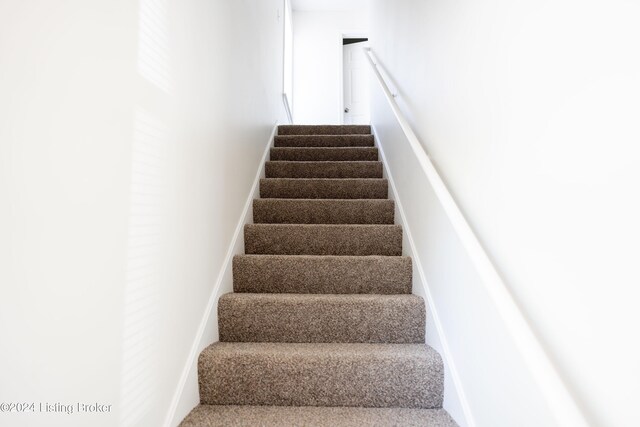 staircase with carpet floors